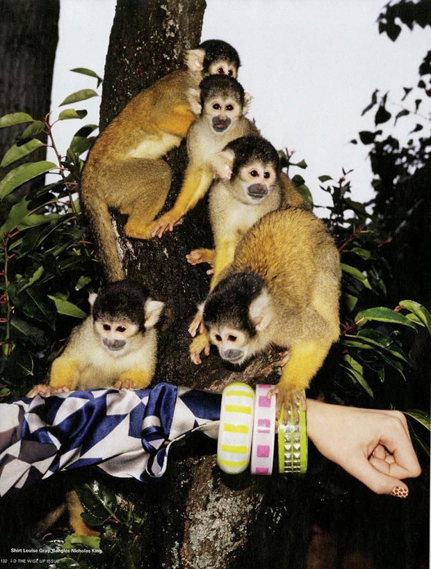 Cara Delevingne w zoo: świetne zdjęcia w i-D