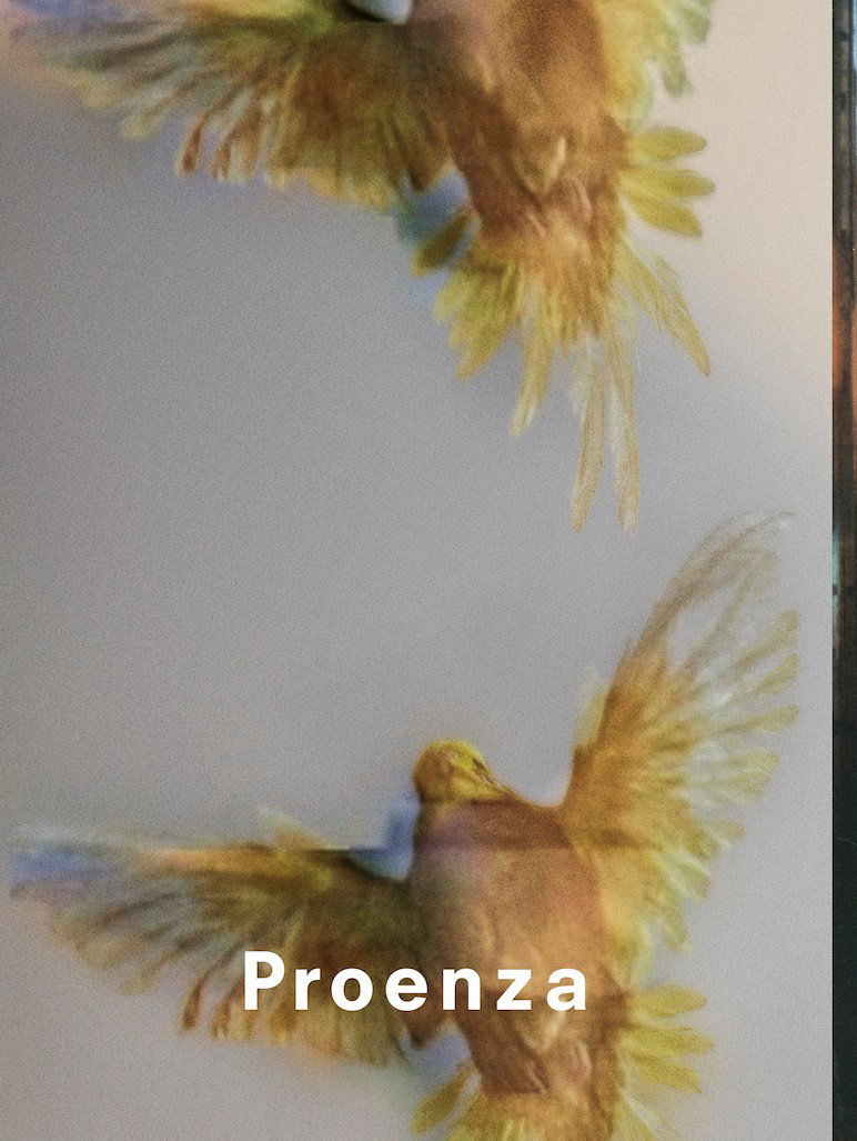 Kampania Proenza Schouler jesień-zima 2013/14