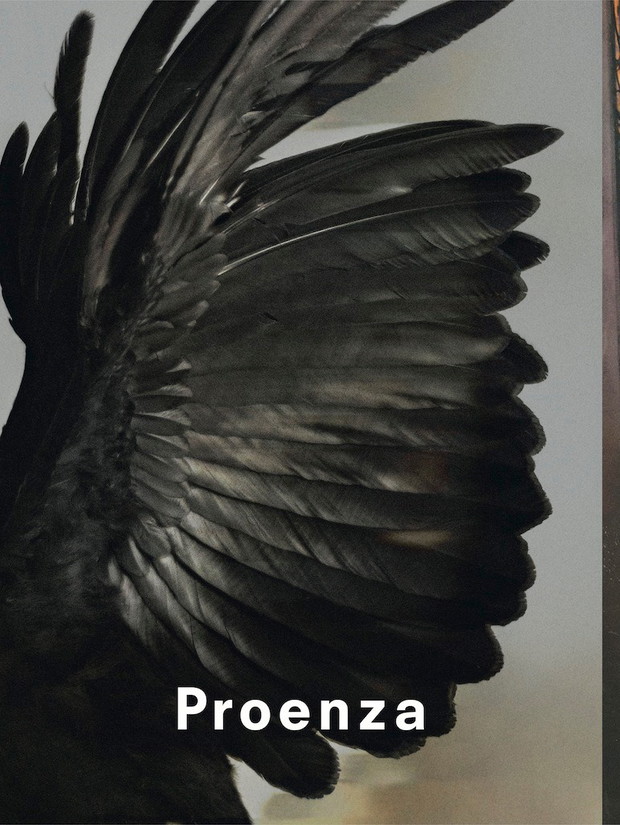 Kampania Proenza Schouler jesień-zima 2013/14