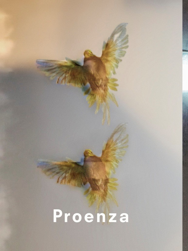 Kampania Proenza Schouler jesień-zima 2013/14