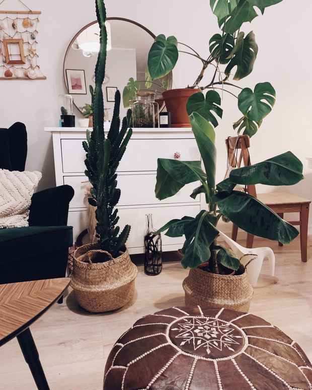 Processed with VSCO with c4 preset