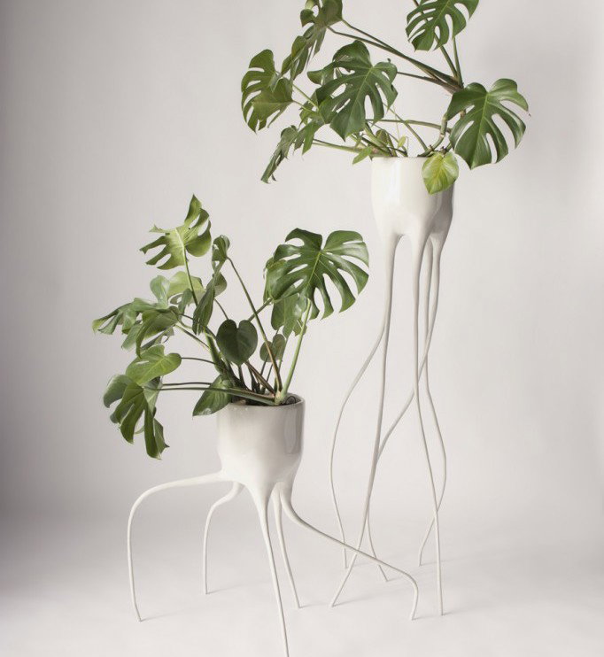 Natura vs technologia w projekcie "Monstera"