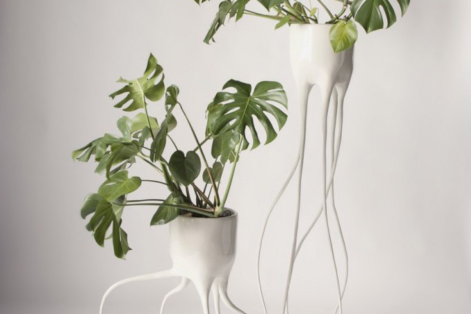 Natura vs technologia w projekcie "Monstera"
