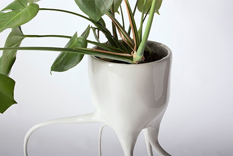 Natura vs technologia w projekcie Monstera