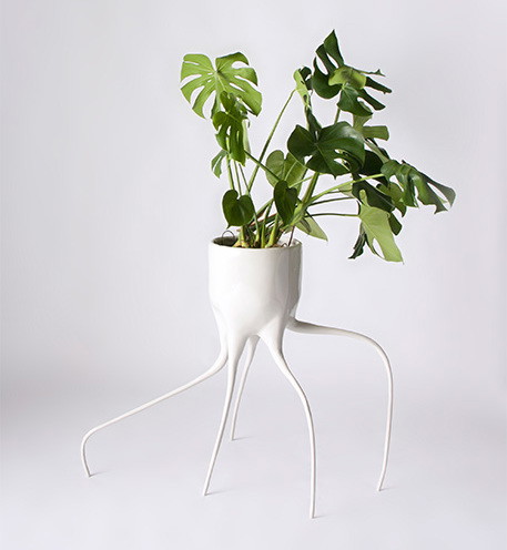 Natura vs technologia w projekcie Monstera