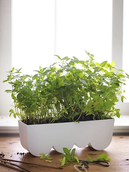 Zielone balkony Ikea