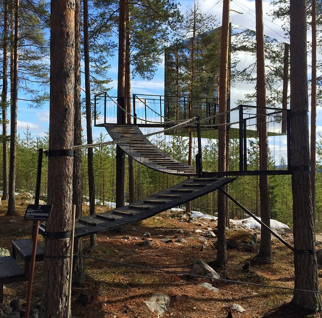 Tree Hotel - hotel z pokojem na drzewie