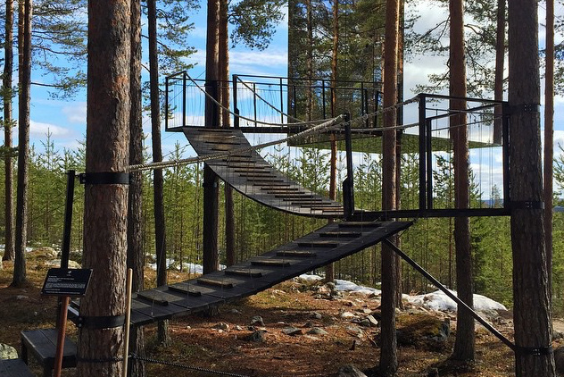 Tree Hotel - hotel z pokojem na drzewie
