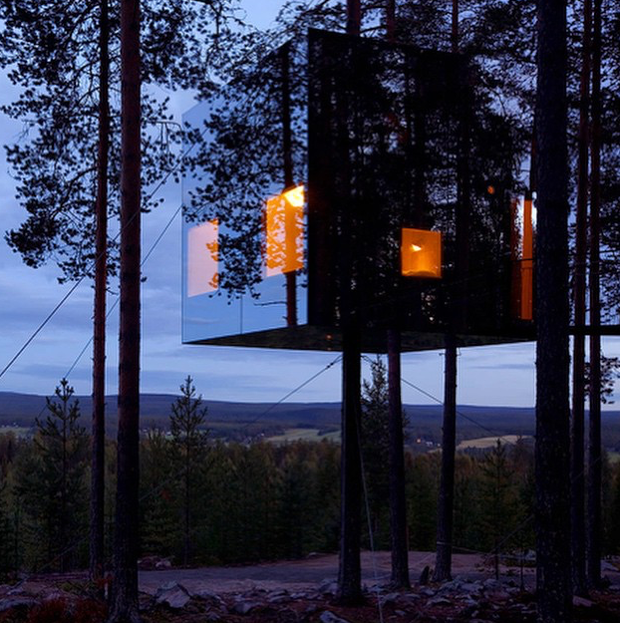 Tree Hotel - hotel z pokojem na drzewie