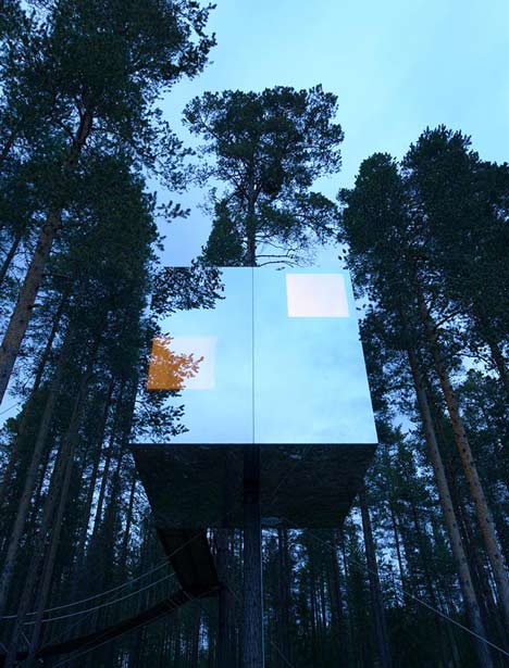 Tree Hotel - hotel z pokojem na drzewie