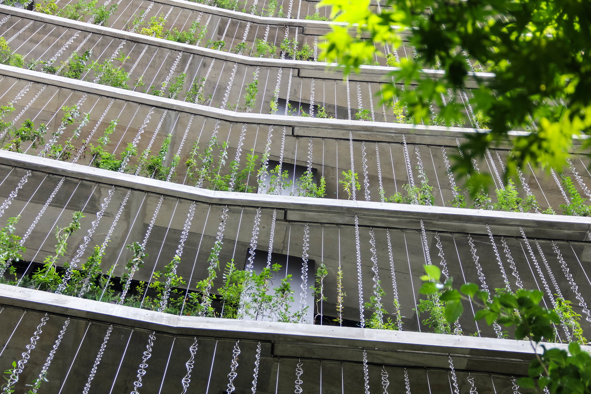 Nowoczesne budynki - architektura w deszczu prosto z Japonii