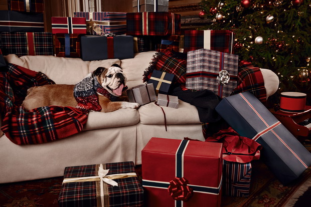 Kampania Tommy Hilfiger Holiday 2015