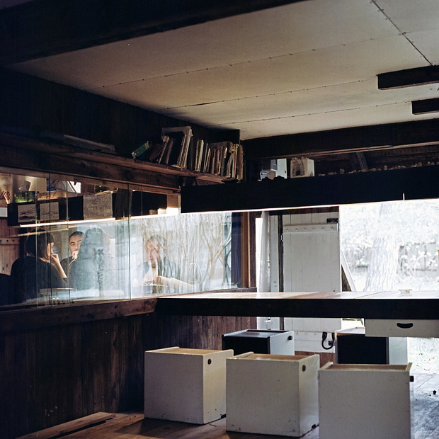 wystawa-amplifikacja-natury-na-miedzynarodowej-wystawie-architektury-la-biennale-di-venezia-fbd59da
