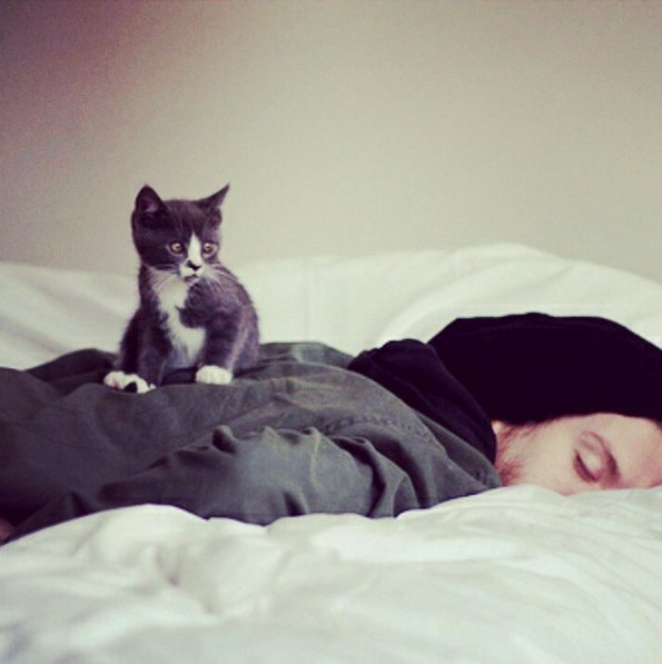 #HotDudesWithKittens - kolejny profil, który podbija Instagram