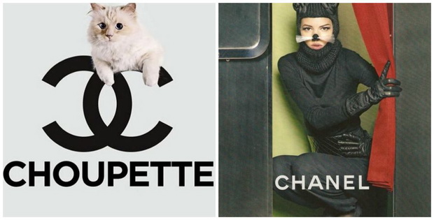 dzien-kota-koty-w-modzie-fot-instagram-com-choupettesdiary-kampania-chanel-z-2011-roku-fot-mat-prasowe-kolaz-elle-0a39492