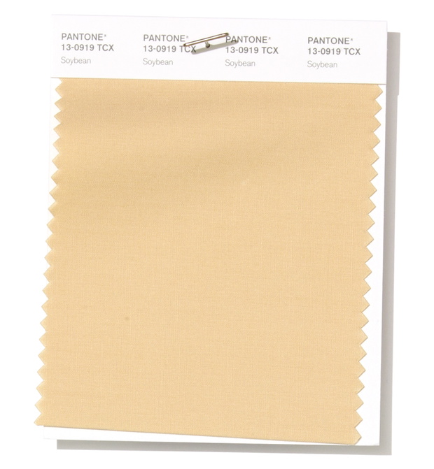 pantone-13-0919-soybean-06d9e5a