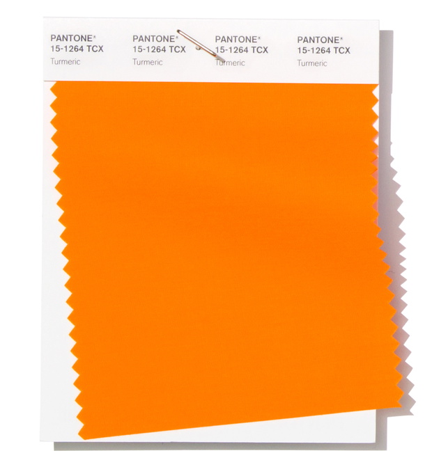 pantone-15-1264-turmeric-291e684