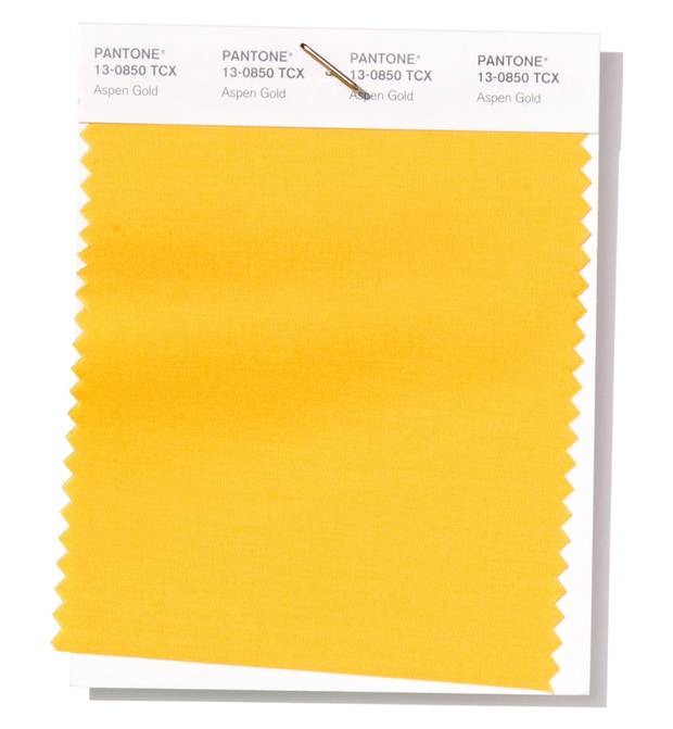 pantone-13-0850-aspen-gold-bbf961b
