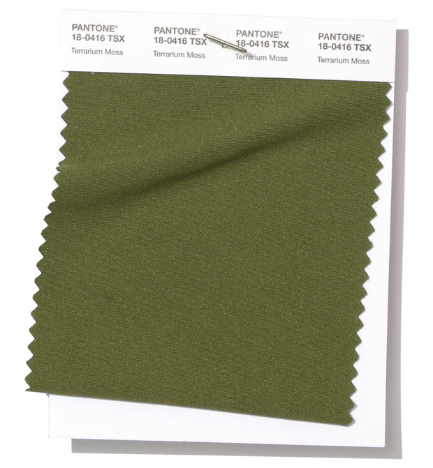 pantone-18-04-terrarium-moss-826a55c