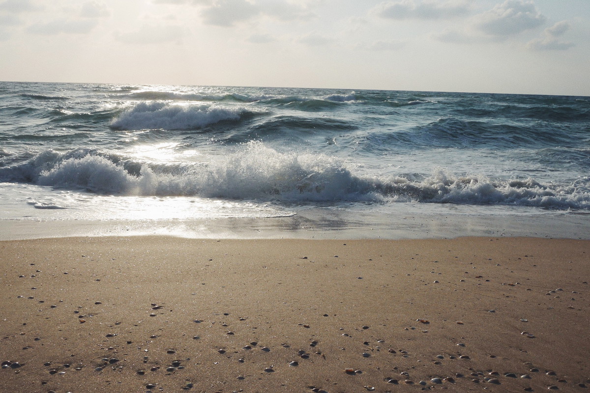 Surfing w Izraelu