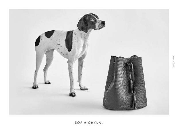 Kampania torebek Zofia Chylak 2016