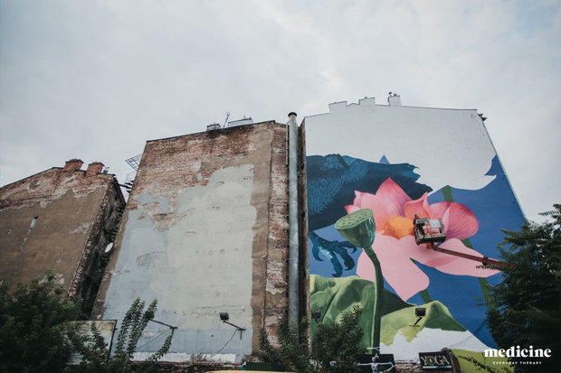 mural-natalii-rak-dla-medicine-krakow2-dedd9b2
