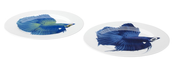 Katie Eary projektuje dla IKEA