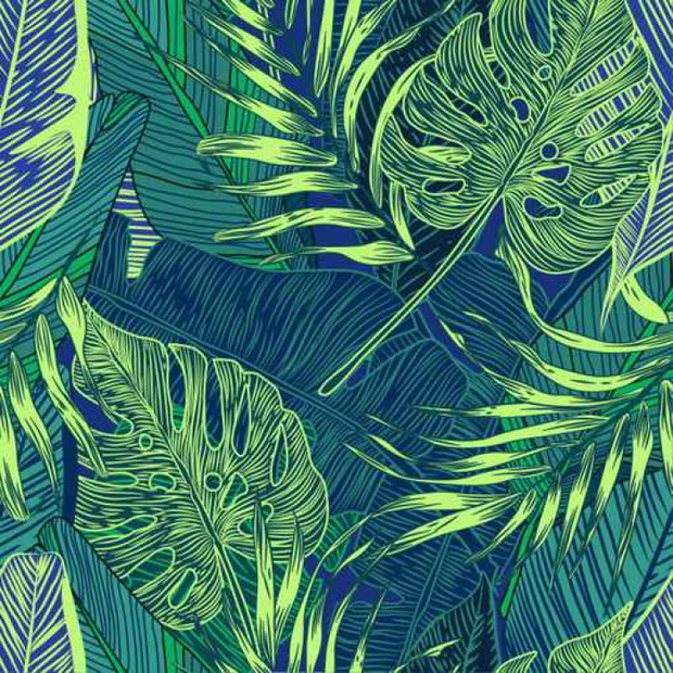 tropical plants