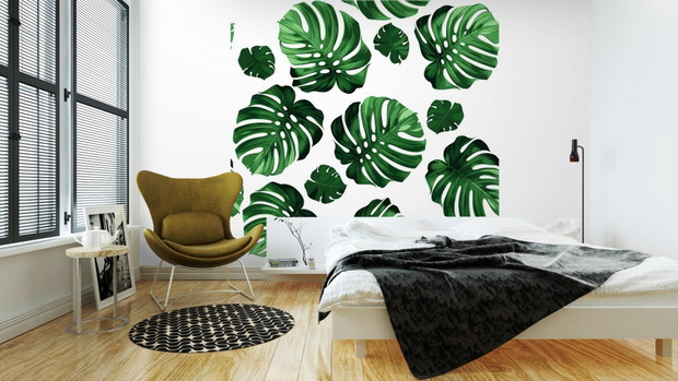 fototapeta-winylowa-monstera-pixers-od-79-zl-za-1m-24869ba