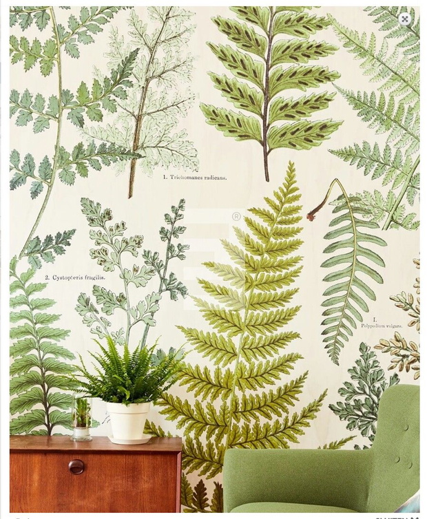 tapeta-w-parocie-eijffinger-wzor-geonature-8b322c8