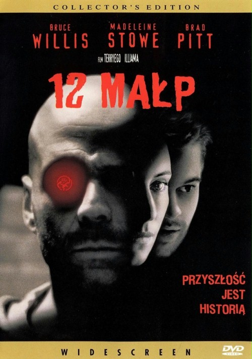 netflix-usuwa-filmy-12-malp-7933c9b