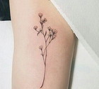 Tatuaże kwiaty, tatuaże rośliny, fot. instagram.com/lovetattoossss