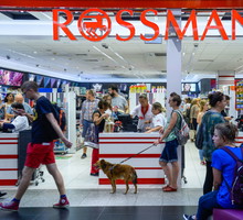Promocja w Rossmann: -55% na produkty do makijażu! Nowa oferta na październik