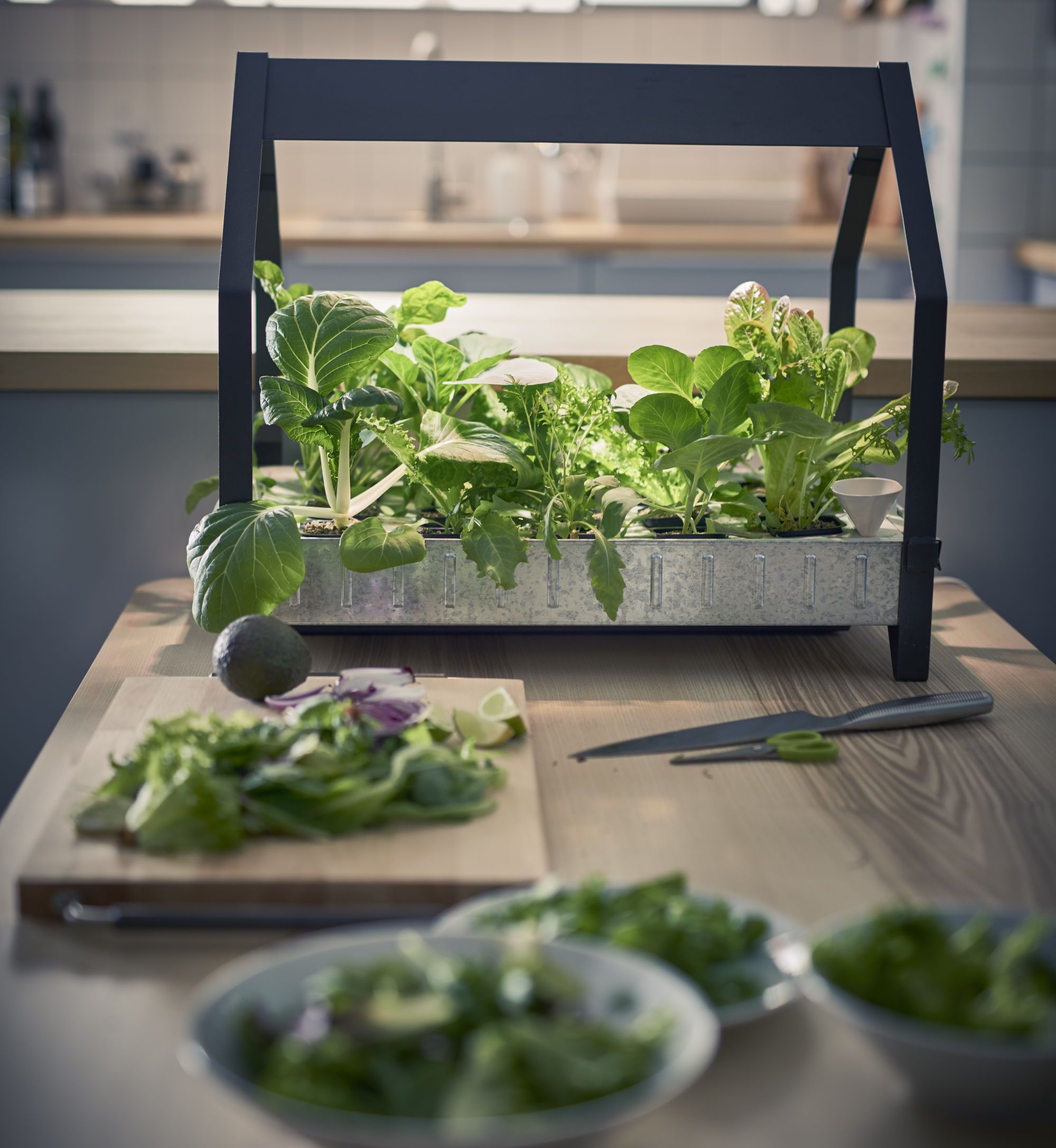 Nowy koncept IKEA: domowy ogródek