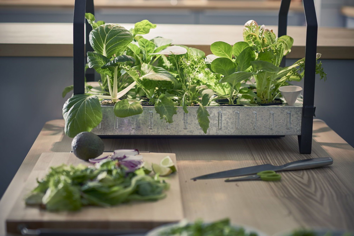 Nowy koncept IKEA: domowy ogródek