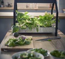 Nowy koncept IKEA: domowy ogródek