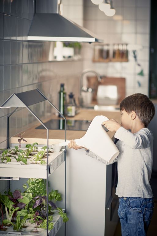 Nowy koncept IKEA: domowy ogródek