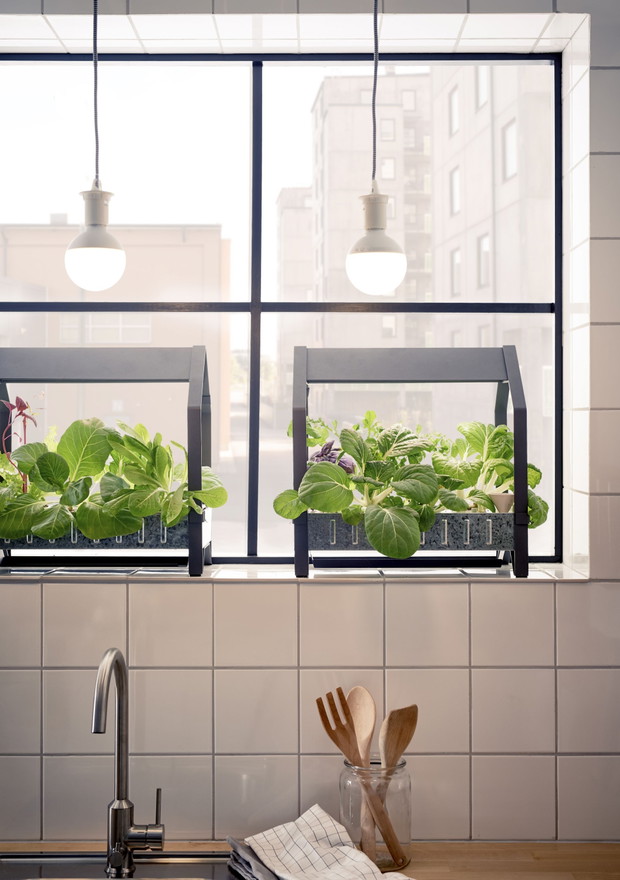 Nowy koncept IKEA: domowy ogródek