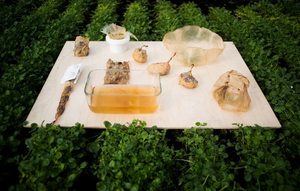 scoby-wynalazek-rozy-rutkowskiej-alternatywa-dla-plastiku2-9b5cc48