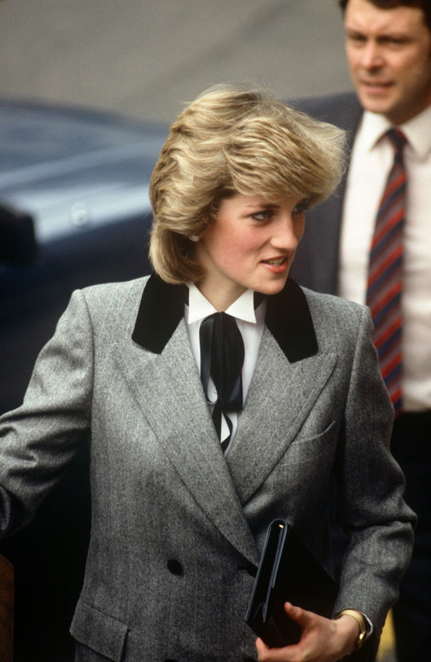 Princess Diana Archive - David Levenson