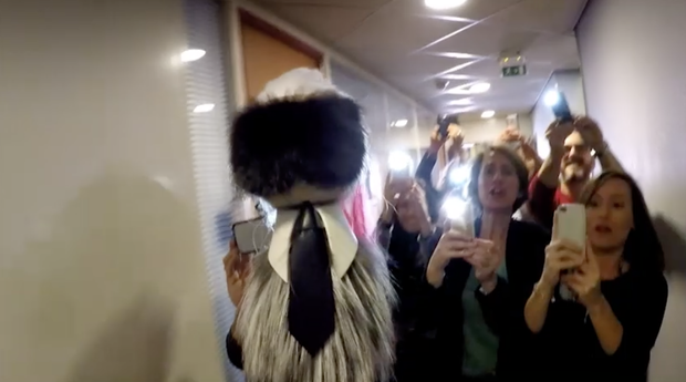 Karlito - maskotka, która zna się na trendach