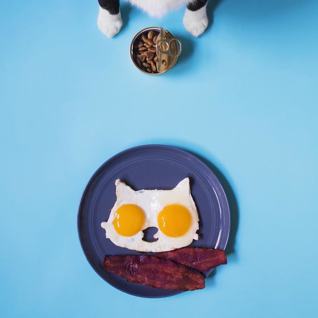 Princess Cheeto - kotka księżniczka podbija Instagram