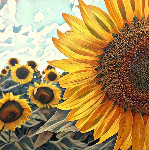 Prisma - nowa ulubiona aplikacja internautów, fot. instagram prisma