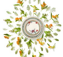 Villeroy&Boch. Lato na porcelanie, porcelana na lata, fot. mat. pras