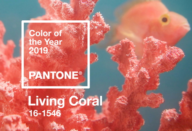 living-coral-kolor-roku-2019-wedlug-pantone-1ec5b93