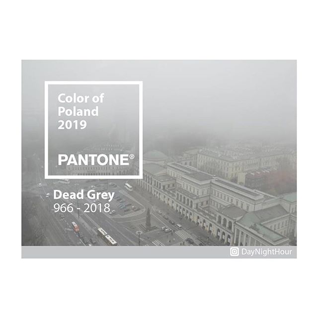 Dead Grey - kolor roku dla Polski według Przemka Puchalskiego