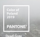 Dead Grey - kolor roku dla Polski według Przemka Puchalskiego