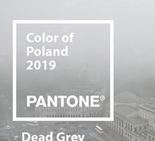 Dead Grey - kolor roku dla Polski według Przemka Puchalskiego