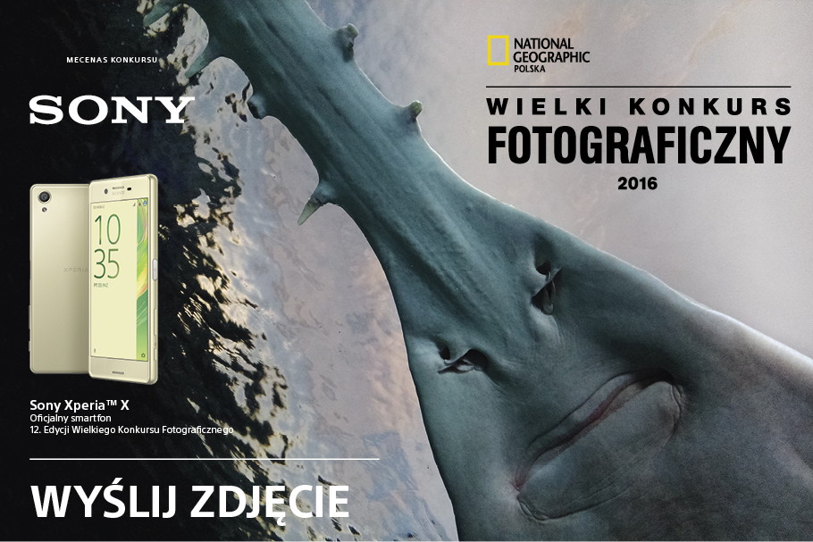 Wielki konkurs fotograficzny. Wyślij zdjęcie i wygraj