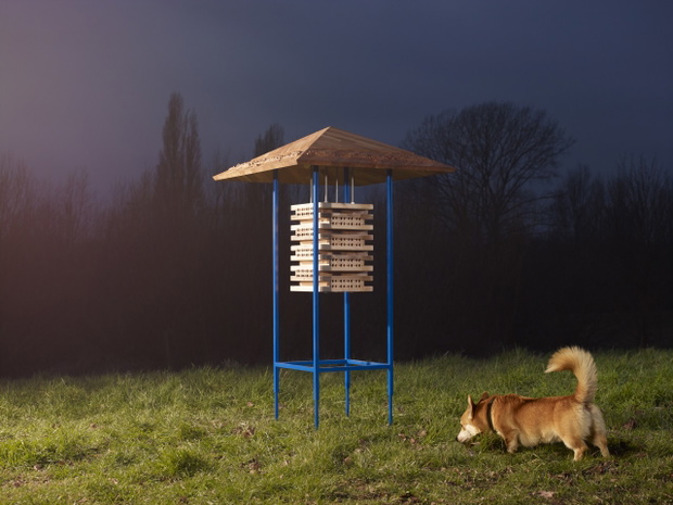 domek-hachi-projekt-sash-scott-i-tamsin-hanke-b1501c5